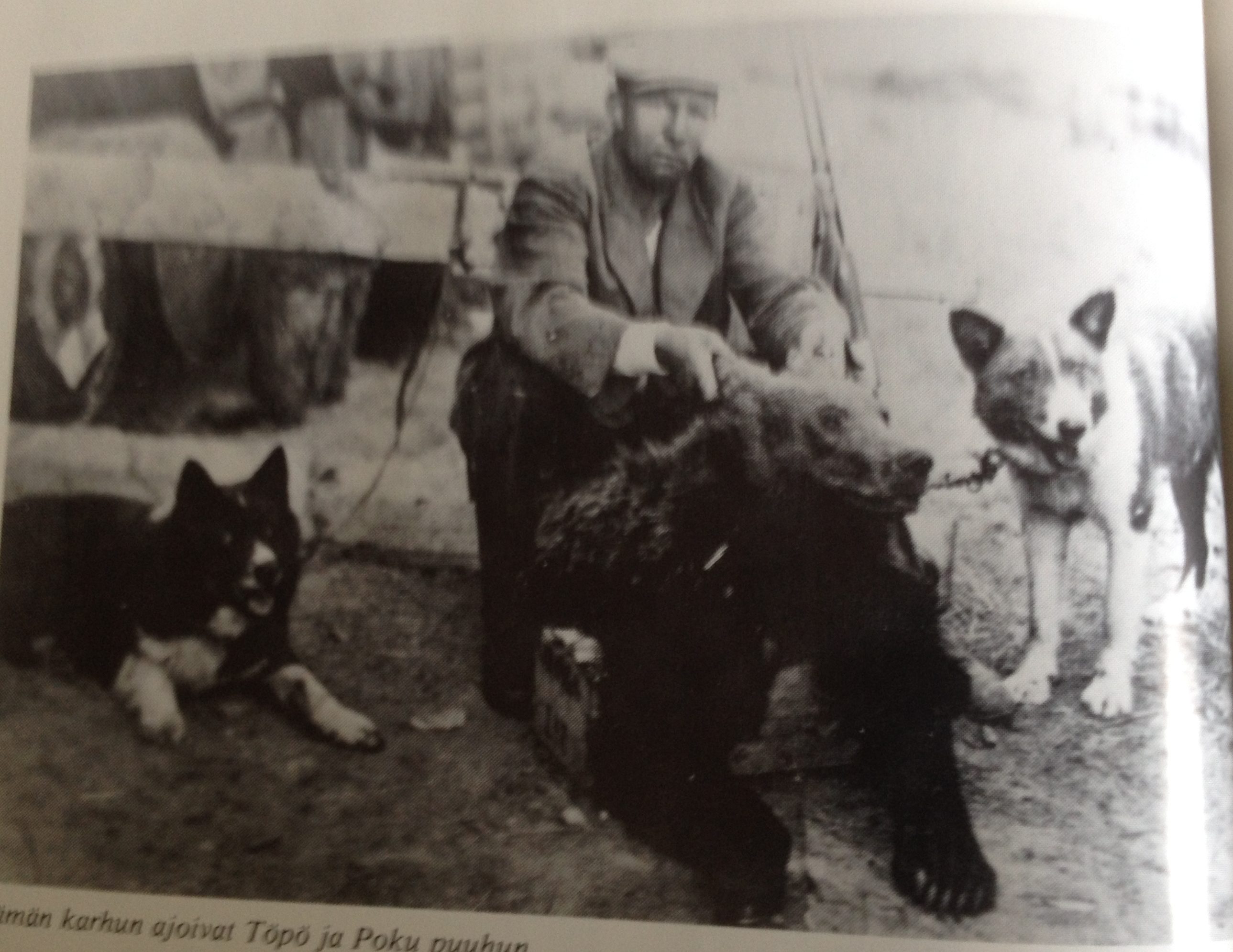 Kbd History Wind River Bear Institute Beardogs