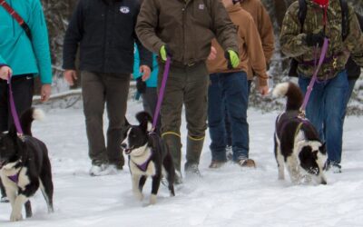 Wildlife K-9 Lab for students in the Wildlife 101 class at the University of Alaska Fairbanks