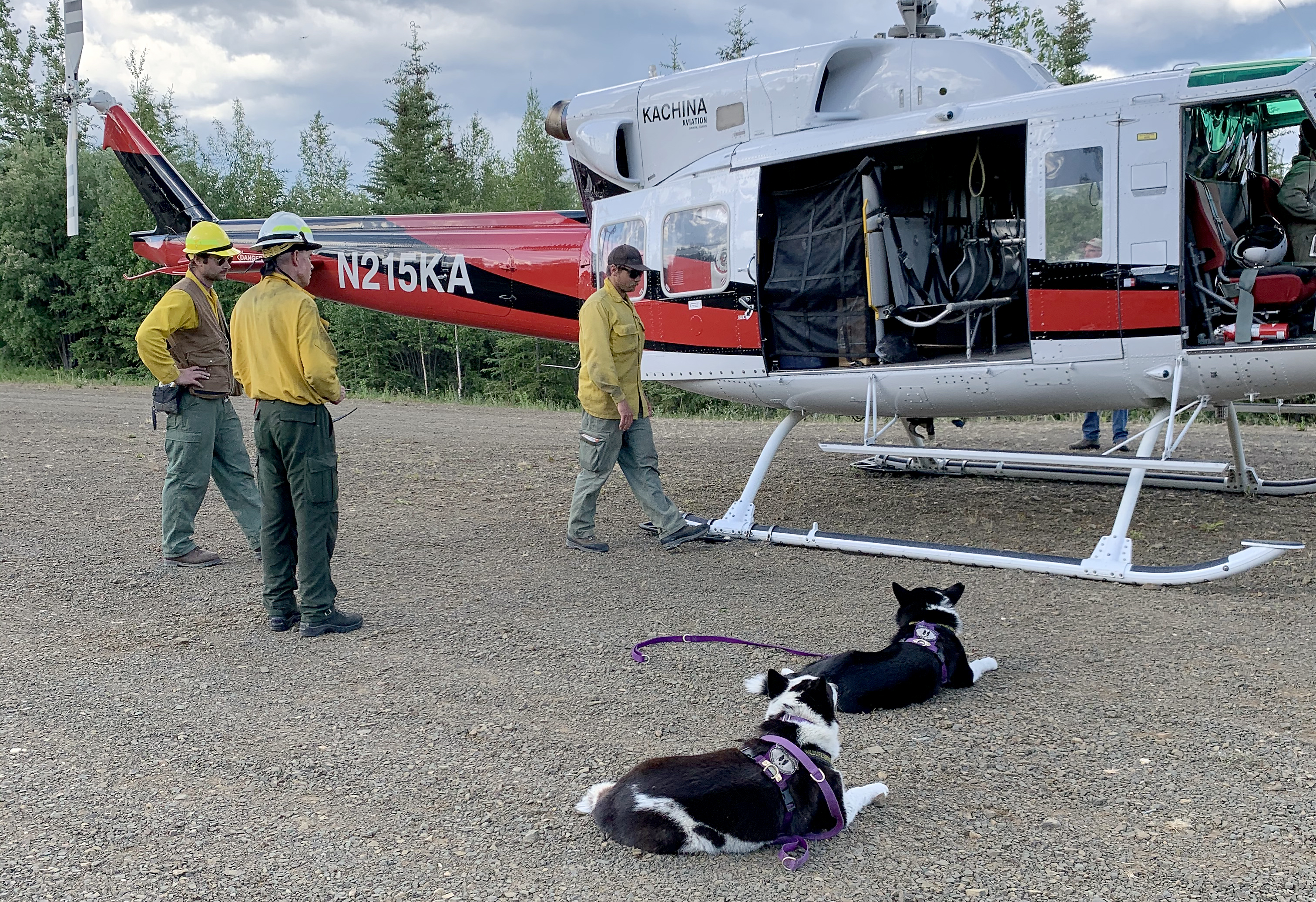 WRBI Wildlife K-9s working with the BLM Alaska Fire Service